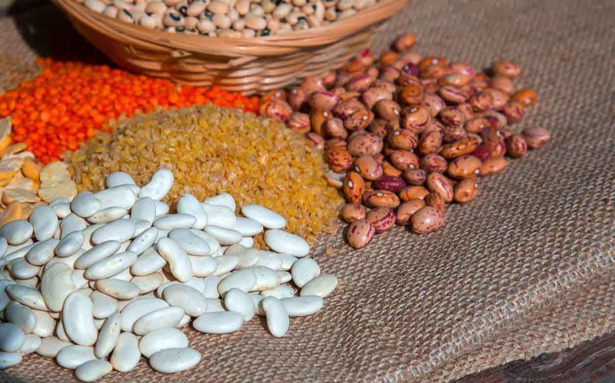 pulses commodity