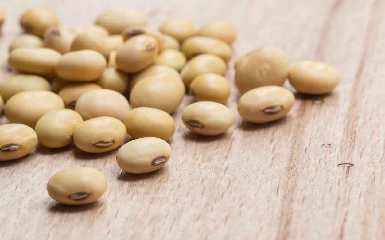 soya beans commodity